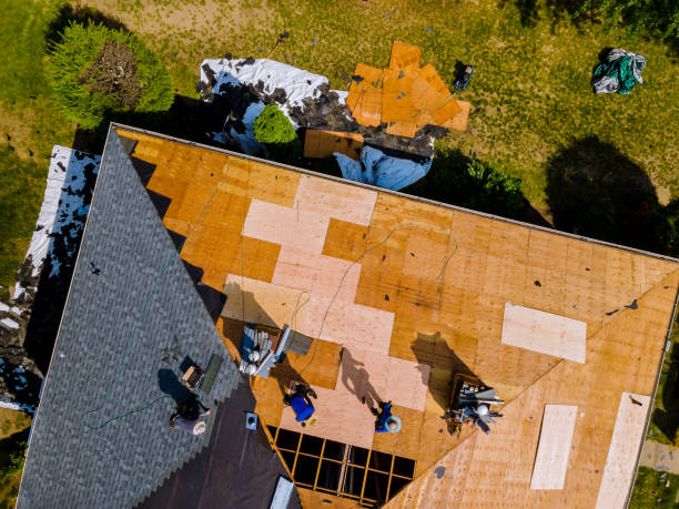 Best Metal Roofing Contractor  in Chandler, IN